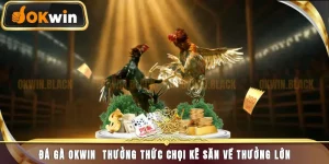 Đá Gà Okwin – Sảnh Cá Cược Trực Tuyến Uy Tín, Hấp Dẫn 2025