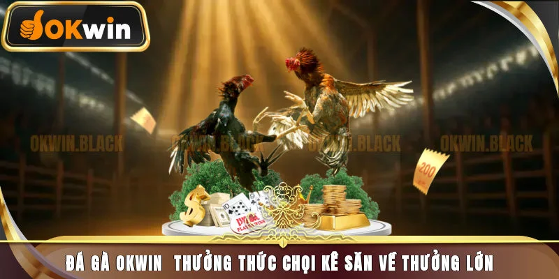 Đá Gà Okwin – Sảnh Cá Cược Trực Tuyến Uy Tín, Hấp Dẫn 2025